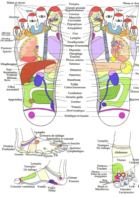 Reflexology (60 minutes)